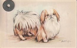 Très Belle Carte Postale Ancienne De Chien   PEKINOIS  Signée MB Cooper - Dogs