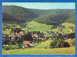 Deutschland; Baiersbronn Mitteltal, Panorama - Baiersbronn