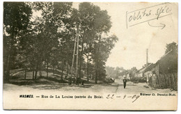 CPA - Carte Postale - Belgique - Wasmes - Rue De La Louise - Entrée Du Bois - 1909 (DG15231) - Colfontaine