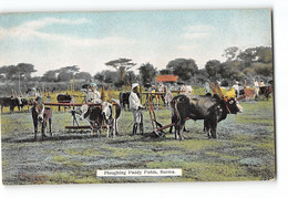 CPA Birmanie Rangoon - Ploughing Paddy Fields - Burma - Myanmar (Birma)