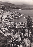 MONACO,MONTE CARLO,CARTE PHOTO - Monte-Carlo