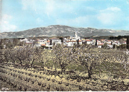 84 - Mazan - Vue Générale - Au Fond, Le Mont Ventoux - Mazan