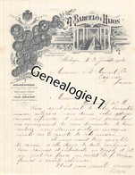 96 2809 ESPAGNE SPAIN MALAGA 1902 Grandes Bodegas Vinos A. BARCELO E HIJOS Destileria OLD BRANDY Finos Ginebra - Spanje