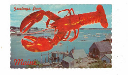 Maine, USA, Greetings From, Lobster, Fishing Village, 1973 Chrome Postcard - Unclassified