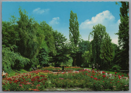 Neuss - Rosengarten - Neuss