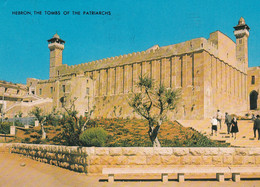 Cpm 10x15  JUDAICA . Edit. PALPHOT N° 9805. ISRAEL . HEBRON . Le Caveau Des Patriarches - Jewish