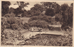 ANGLETERRE.. COLCHESTER. LILY POND . CASTLE PARK. ANNÉE 1952  + TEXTE - Colchester