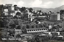 ROMA - VELLETRI - PANORAMA PARZIALE VG 64 - Velletri