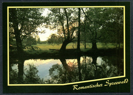 E5293 - TOP Spreewald - Bild Und Heimat Reichenbach Qualitätskarte - Lübben (Spreewald)