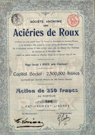 Action De 250 Frcs Au Porteur - S.A. Des Acièries De Roux - Belgique - Roux - Charleroi 1907. - Industrie