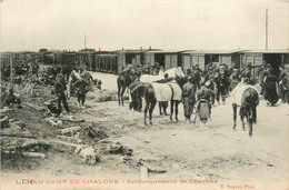 Camp De Châlons * Embarquement Des Chevaux * Train Wagons * Ligne Chemin De Fer De La Marne - Camp De Châlons - Mourmelon