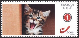 DUOSTAMP** / MYSTAMP** - Chat / Kat / Katze / Cat - Autocollant / Zelfklevend / Selbstklebend / Self Adhesive - Ungebraucht