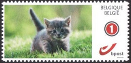 DUOSTAMP** / MYSTAMP** - Chat / Kat / Katze / Cat - Autocollant / Zelfklevend / Selbstklebend / Self Adhesive - Neufs