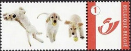 DUOSTAMP** / MYSTAMP** - Chien  / Hond / Hund / Dog - Neufs