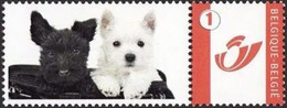 DUOSTAMP** / MYSTAMP** - Chien  / Hond / Hund / Dog - Neufs