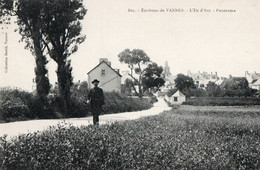 56   ILE D'ARZ  - Panorama - Ile D'Arz