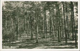 Vintage Kleinformatkarte Niederlande, ERMELO, Bosgezicht - Ermelo