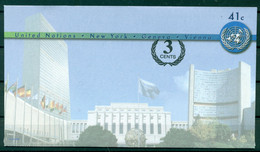 Nations Unies New York  2009 - Entier Postal 41 Centimes - Covers & Documents
