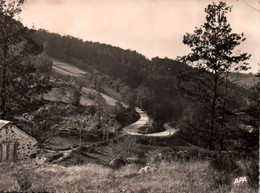 34 / LA SALVETAT SUR AGOUT / UN TOURNANT DANS LE BOIS DU DEVES - La Salvetat