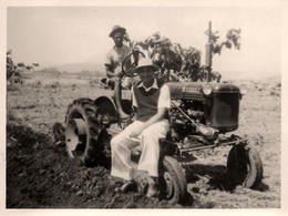 Tracteur Ancien De Marque FARMALL * Tractor * Thème Agricole Agriculture * Madagascar * Photo Ancienne Années 50 - Tractores