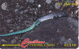 TARJETA DE ST. LUCIA DE UN LAGARTO (LIZARD) 137CSLA - Santa Lucía