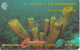 TARJETA DE ST. VINCENT & GRENADINES DE 10$ DE YELLOW TUBE SPONGE (52CSVF) - San Vicente Y Las Granadinas