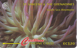 TARJETA DE ST. VINCENT & GRENADINES DE 20$ DE GIANT SEA ANEMONE (101CSVB) - Saint-Vincent-et-les-Grenadines