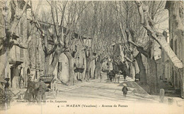 MAZAN Avenue De Pernes - Mazan
