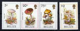 Feuillet De 4 Timbres Neufs ** état Parfait Du Belize Champignons, Pilze, Mushroom, Setas - Champignons