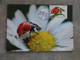 CARTE MAXIMUM CARD COCCINELLE FRANCE - Other