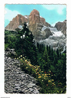 DOLOMITI  DEL  BRENTA (TN):  CROZZON  E  CIMA  TOSA  -  FOTO  -  FG - Bergsteigen