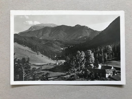 Kalte Kuchl Mit Schneeberg 3060 - Wiener Neustadt