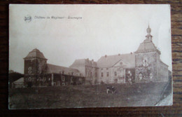 Belgique - Carte Postale Ancienne - Château De Wégimont - Soumagne - Soumagne