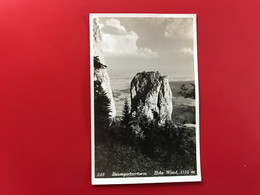 Hohe Wand Baumgartnerturm 3115 - Gutenstein