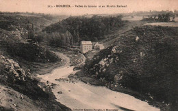 CPA - MORIEUX - Vallée Du Gouessant Et Moulin Rolland - Edition Lequien-Ravalec - Morieux