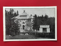 Hohe Wand Mit Naturfreundehaus Grünbach 3143 - Gutenstein