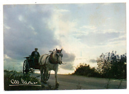 Agriculture -- Attelage  (animée) ........signé  A. Monier  Repris Par CAP..................à Saisir - Spannen