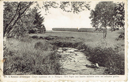 Ardenne Pittoresque Cours Superieur De La Hoegne  (poleda)  N° 64 - Weismes