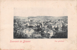 Souvenir De Bienne - Bienne