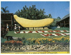 (Z 14) Australia - NSW - Coffs Harbour Big Banana (NCCP) - Coffs Harbour