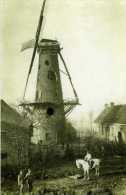 ZARREN - Kortemark, Nu Houthulst (W.Vl.) - Molen/moulin - 'Tuyttensmolen' Of 'Molen Terrest' Voor Zijn Verwoesting - Kortemark