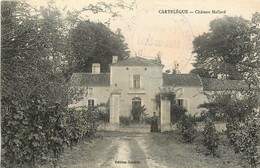 CARTELEGUE CHATEAU MALLARD CACHET MILITAIRE ARCIS SUR AUBE SECTION H VOIES DE COMMUNICATIONS - Sonstige & Ohne Zuordnung