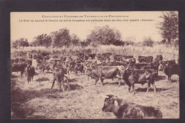 CPA Provence Taureaux  Camargue éditeur Bernheim Nîmes Non Circulé - Provence-Alpes-Côte D'Azur