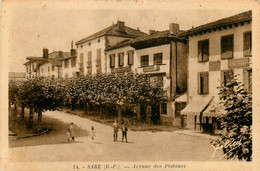 Sare * Avenue Des Platanes * Hôtel Restaurant De La Mairie - Sare