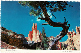 Queen's Garden, Bryce Canyon, Bryce National Park, Utah, US - Unused - Bryce Canyon