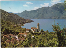 S. Abbondio - Gambarogno - Panorama Verso Pino - (Lago Maggiore) - 1967 - (CH) - Gambarogno