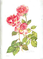 Reproduction  Fleur Rose  Schwarz Torinus - Autres