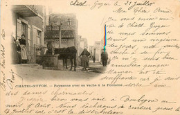 Châtel Guyon * Paysanne Avec Sa Vache à La Fontaine * Vieille Femme Du Pays - Châtel-Guyon