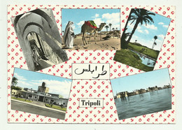 TRIPOLI - VEDUTE  VIAGGIATA FG - Libya