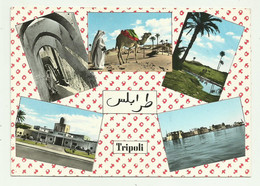 TRIPOLI - VEDUTE  VIAGGIATA FG - Libia